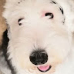 Meet your Posher, Tonya